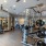 free weights in gym