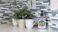 mugs and potted plant on a counter